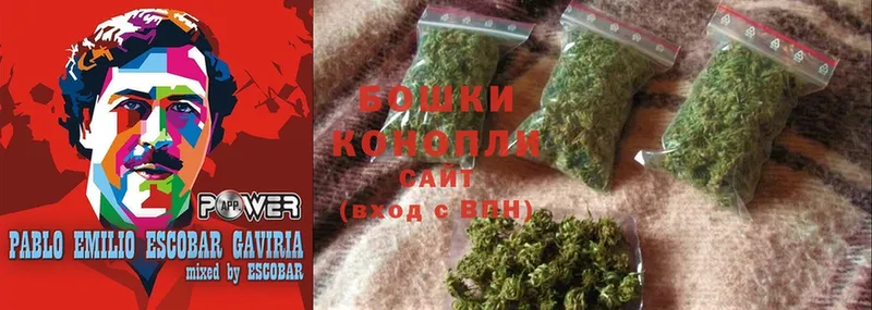 как найти   Рыбинск  Бошки марихуана THC 21% 